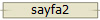 sayfa2