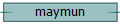 maymun